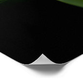 Green Hosta Leaf on Black ポスター (角)