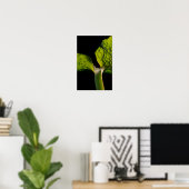 Green Hosta Leaf on Black ポスター (ホームオフィス)