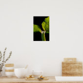 Green Hosta Leaf on Black ポスター (キッチン)