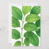 Green Hummingbird Leafy Botanical Border Wedding セーブザデート (裏面)