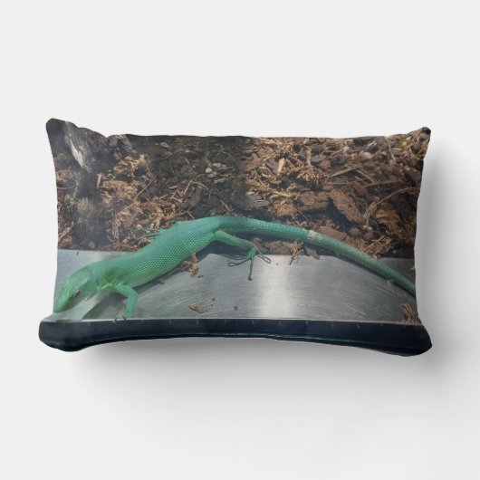 Green Keel Bellied Lizard Pillow ランバークッション (正面)