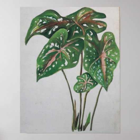 Green Leaf Botanical Wall Art Print ポスター (正面)