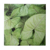 Green Leaf Print タイル (正面)