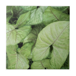 Green Leaf Print タイル