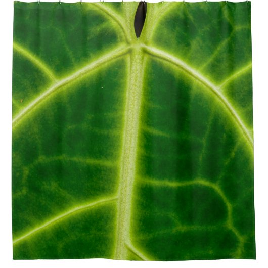 Green-leafed plant シャワーカーテン (正面)