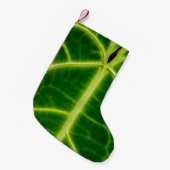 Green-leafed plant スモールクリスマスストッキング (正面 (吊り時))