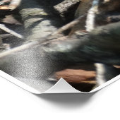 Green Lizardフォトプリント フォトプリント (角)