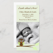 Green Owl Photo Birthの発表 案内状 (正面/裏面)