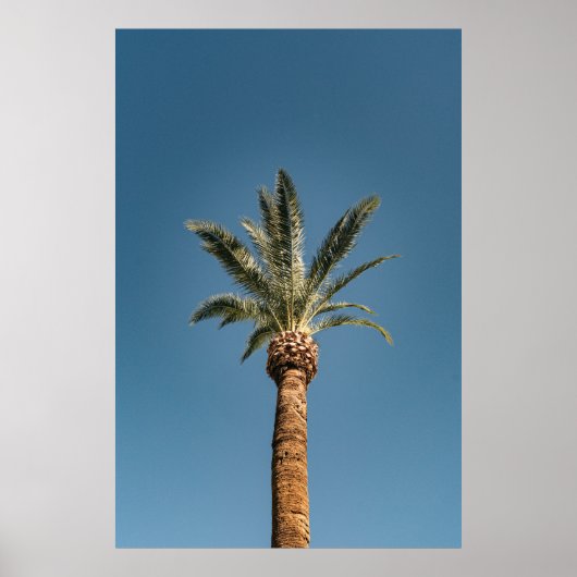 Green palm tree under blue sky in the morning ポスター (正面)