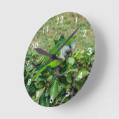 Green parrot ラウンド壁時計 (傾斜)