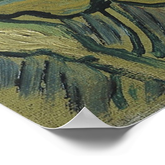 Green Peacock (Emperor) Moth by Vincent van ゴッホ ポスター (角)