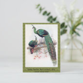Green Peafowl, Pavo muticus, 1872年のPhaのモノグラフ ポストカード (スタンド正面)