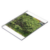 Green Pine Bush Nature Notebook ノートブック (左側)