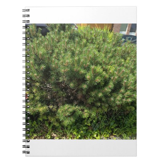 Green Pine Bush Nature Notebook ノートブック (正面)