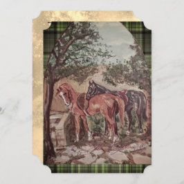 green plaid jamie and poppy scripture