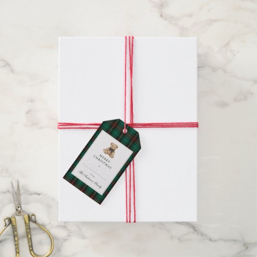 Green Plaid Teddy Bear Christmas Party ギフトタグ (より糸付き)