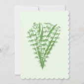 Green plant in the shape of a bouquet. (正面)