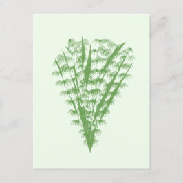 Green plant in the shape of a bouquet. ポストカード