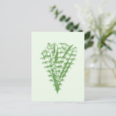 Green plant in the shape of a bouquet. ポストカード (スタンド正面)