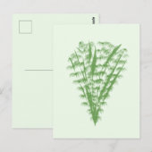 Green plant in the shape of a bouquet. ポストカード (正面/裏面)