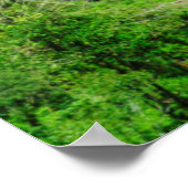 Green Rice terraces, Philippines ポスター (角)