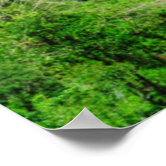 Green Rice terraces, Philippines ポスター (角)