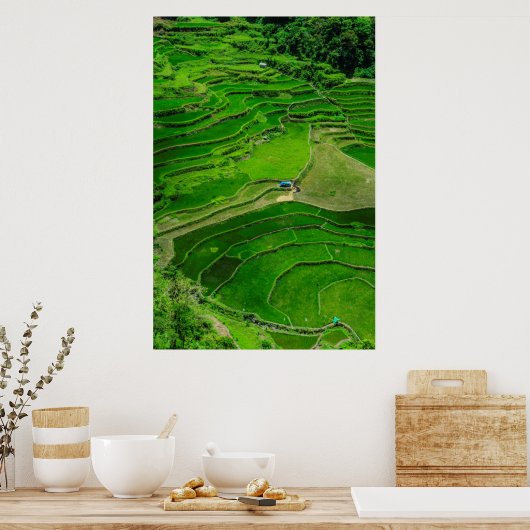 Green Rice terraces, Philippines ポスター (キッチン)