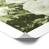 Green Roses Floral Garden Photo Art Print Poster ポスター (角)