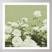 Green Roses Floral Garden Photo Art Print Poster ポスター (正面)