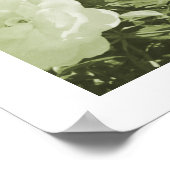 Green Roses Floral Garden Photo Art Print Poster ポスター (角)