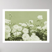 Green Roses Floral Garden Photo Art Print Poster ポスター (正面)