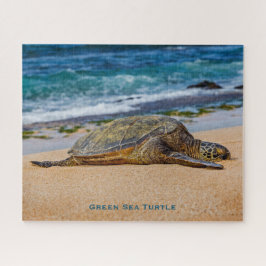 Green Sea Turtle ジグソーパズル