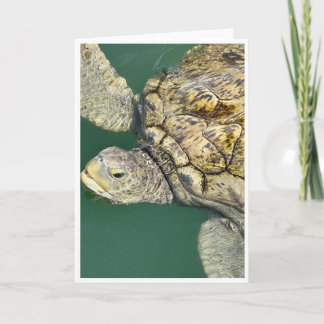 Green Sea Turtle Noteカード()  サンキューカード
