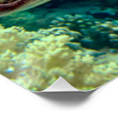 Green Sea Turtle Swims the Red Sea ポスター (コーナー)