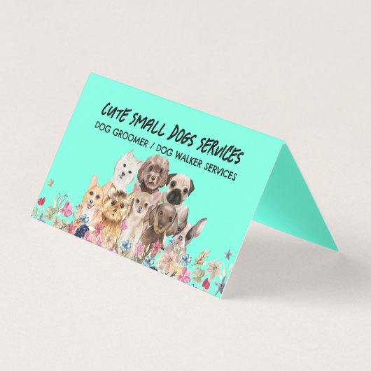 Green Small Dogs grooming cute pet sitter (正面)