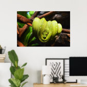 Green snake animal ポスター (ホームオフィス)
