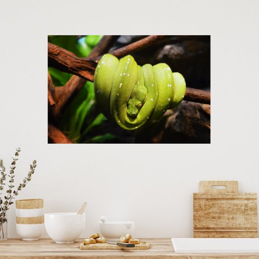 Green snake animal ポスター (キッチン)