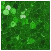 Green sparkling glitter pattern ファブリック (クローズアップ)