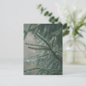 Green spruce tree close-up, Christmas aesthetic シーズンポストカード (スタンド正面)