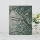 Green spruce tree, winter Scrapbook Paper (スタンド正面)