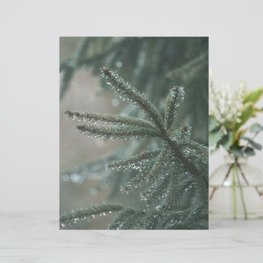 Green spruce tree, winter Scrapbook Paper (スタンド正面)