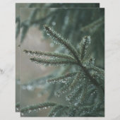 Green spruce tree, winter Scrapbook Paper (正面/裏面)