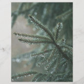 Green spruce tree, winter Scrapbook Paper (裏面)