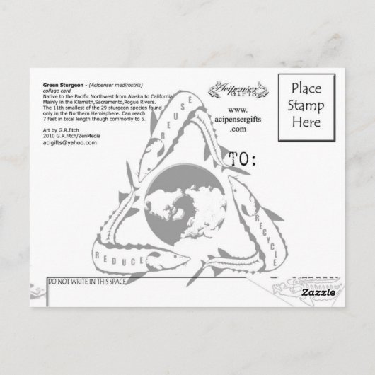 Green Sturgeon-Collage – はがき (裏面)