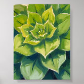 Green Succulent Plant Watercolor Painting ポスター (正面)