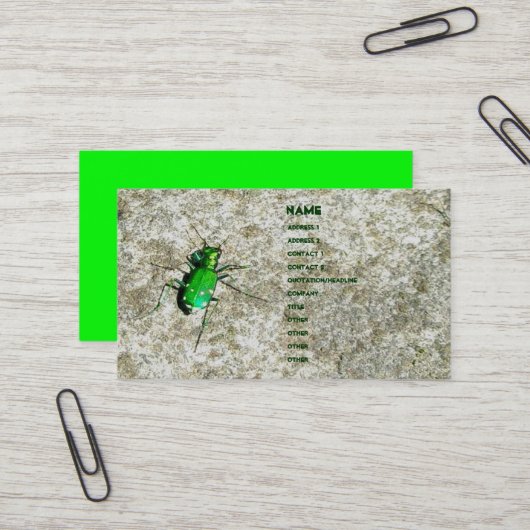Green Tiger Beetle名刺 名刺 (正面/裏面インサイチュ)