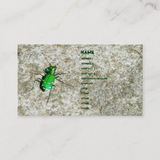 Green Tiger Beetle名刺 名刺 (正面)
