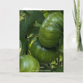 GREEN TOMATO VEGETABLE GARDEN BIRTHDAY CARD カード (裏面)