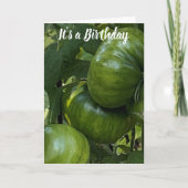 GREEN TOMATO VEGETABLE GARDEN BIRTHDAY CARD カード (正面)