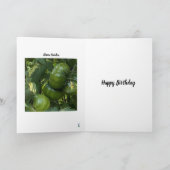 GREEN TOMATO VEGETABLE GARDEN BIRTHDAY CARD カード (内部)